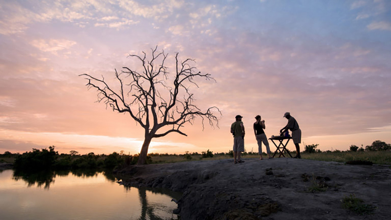 Table Mountain, Vida Selvagem e Victoria Falls